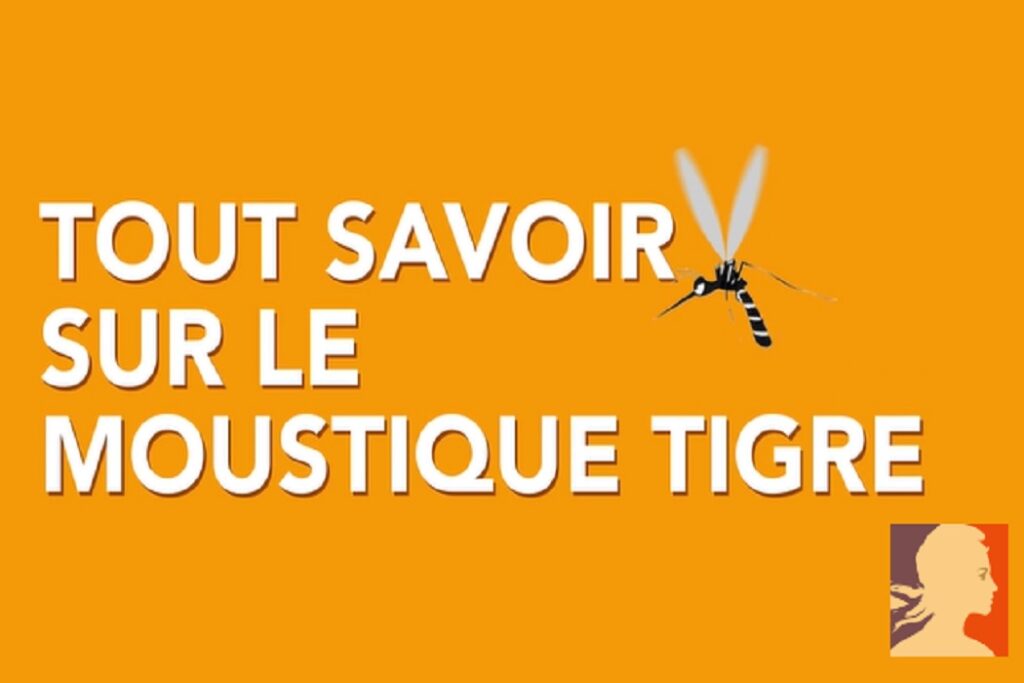 Contribuez à la surveillance du Moustique tigre en 2022