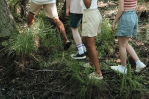Focus : Promenades, randonnées et sorties en autonomie : sécuriser l&rsquo;organisation des activités de pleine nature