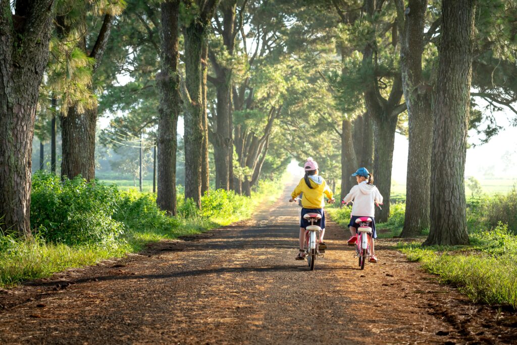 Focus : Les activités de VTT en ACM : conditions d’encadrement et exigences de sécurité