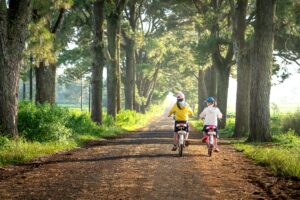 Focus : Les activités de VTT en ACM : conditions d’encadrement et exigences de sécurité